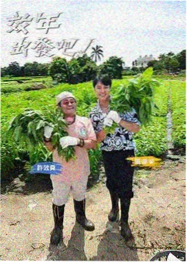 飘花影院电影免费观看 向往的生活